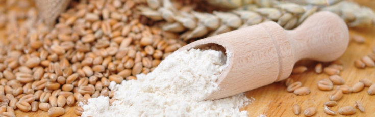 Rezeptideen gasgrill auflauf rezepte pasta